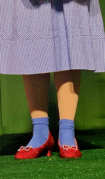 Dorothy's red heels