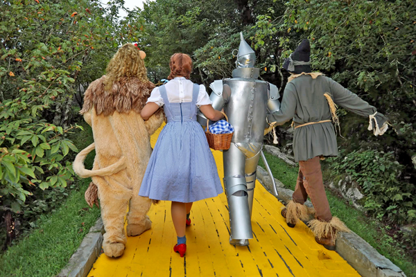 Dorothy and the Gang