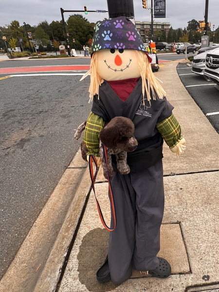 Scarecrow #36