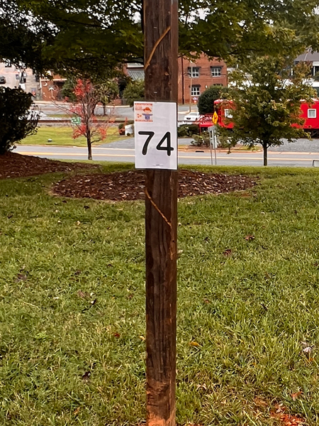 Scarecrow #74