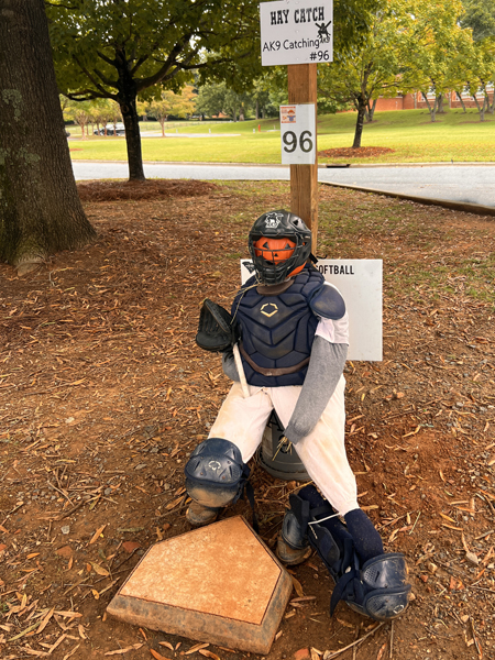 Scarecrow #96