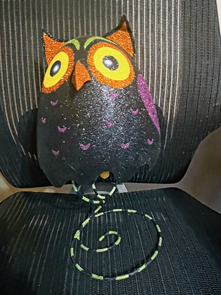 owl