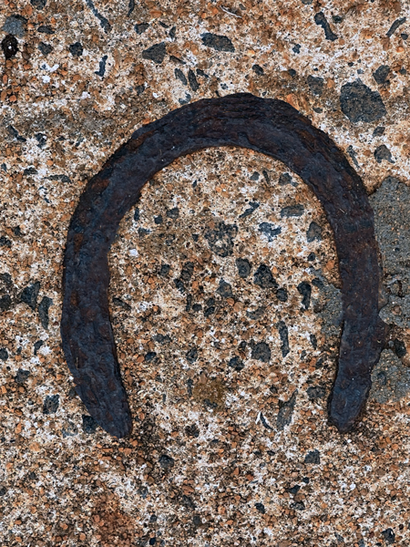 Horsehoe image