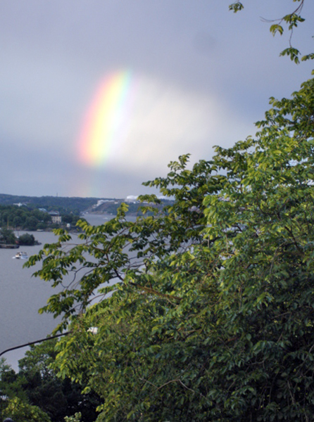 rainbow in the evening sky