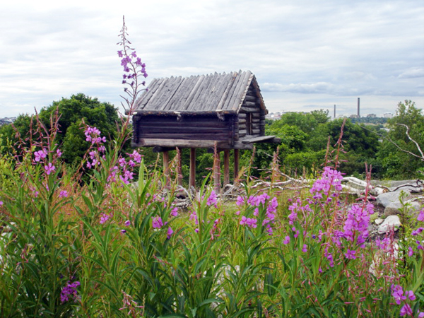 A raised hut 