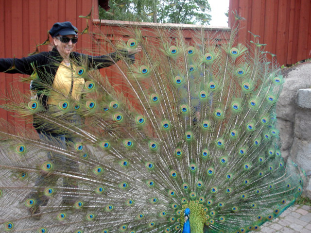 Karen Duquette played with the peacock