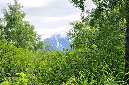 view from the  Matanuska Peak Trail