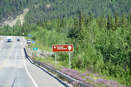 a lumpy road and sign for Denali Park Road