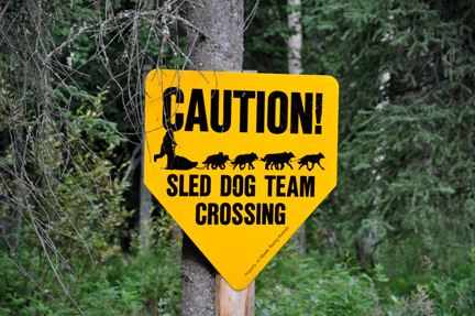 sign - caution - sled dog team crossing