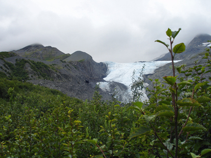 looking back up at the glacier