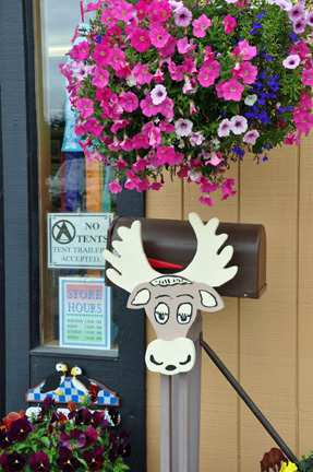 a moose mailbox