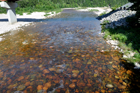 Clear water trickles over multicolored rocks at Salmon River