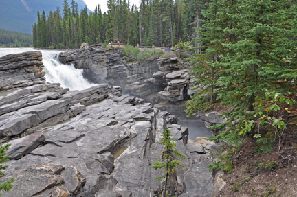 the Athabasca Falls