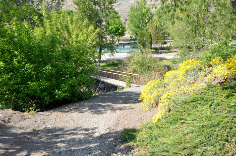 A small bridge and brook inside Brookside Campsite