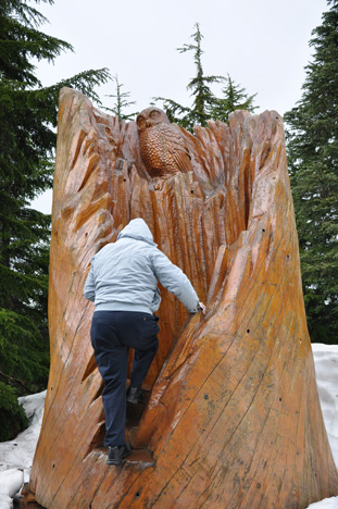 Lee Duquette climbing in the carving