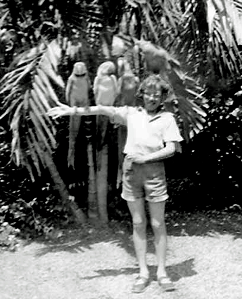 Karen Rasmussen and her broken arm