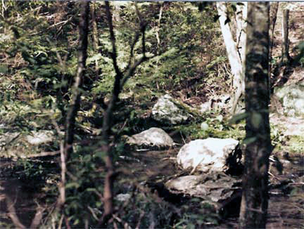 Buttermilk Falls 1984