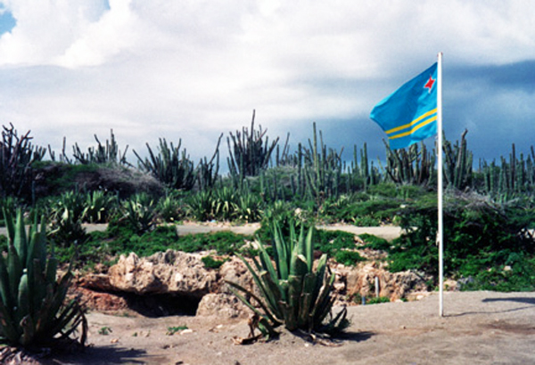 field of cacti and a flag