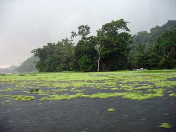 rain and wind