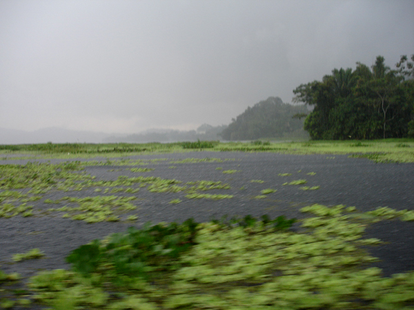 rain and wind