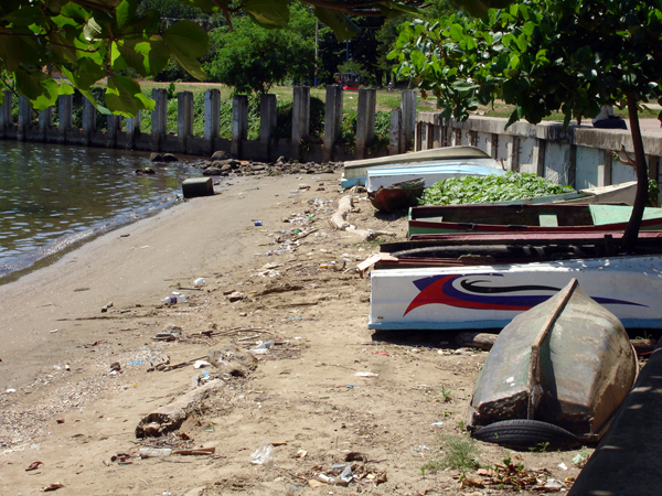 boats