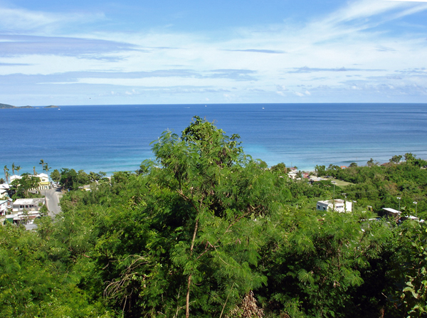 beautiful Tortola scenery