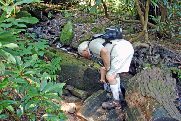 Lee Duquette on the trail to Whitewater Falls