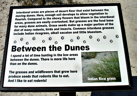 sign about the dunes