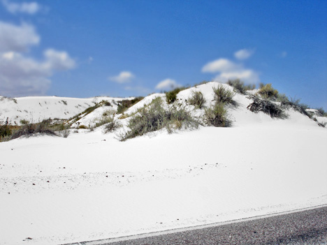a white sand dune