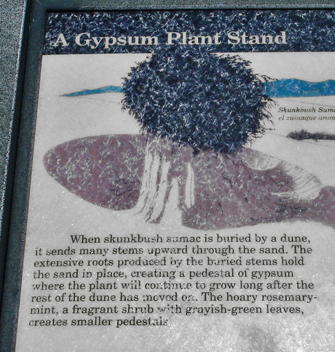 sign - Gypsum Plant Stand