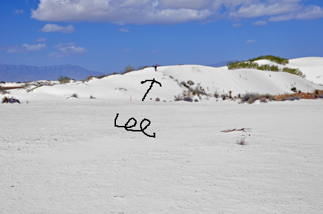 Lee wanders up the white sand hill