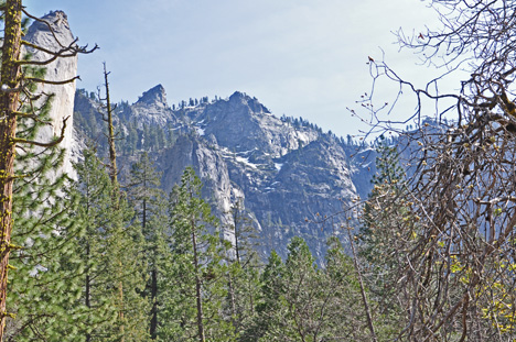 scenery within Yosemite National Park