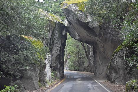 The road entering Yosemite National Park