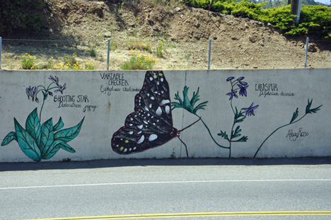 butterflies painted on wall