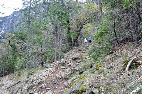 the rocky trail keeps going up