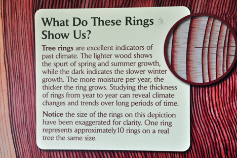 sign about tree rings