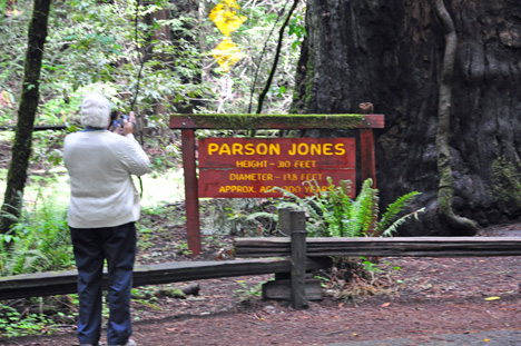 Lee and the sign for the Parson Jones tree