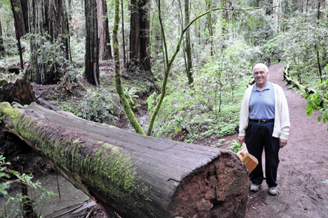 Lee Duquette walking by a felled tree