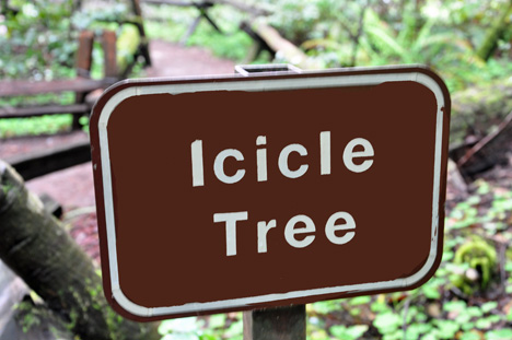 Icicle Tree sign