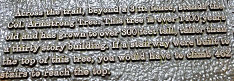 sign - facts on Col. Armstrong tree