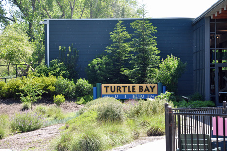 sign - Turtle Bay Museum during day time
