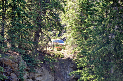 MOB peeking through the trees