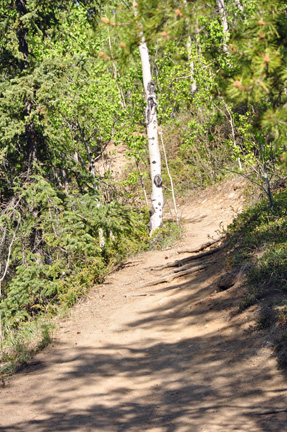 hiking trail