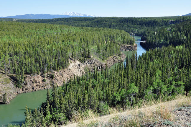 view from the observation area