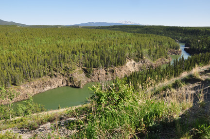 view from the observation area