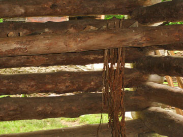 where the tobacco hangs in the tobacco house