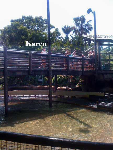 Karen on the bridge