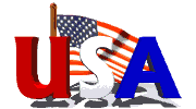 USA/Flag clipart