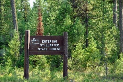 sign - entering Stillwater State Forest