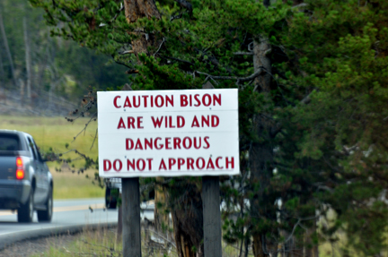 sign - caution bison are wild